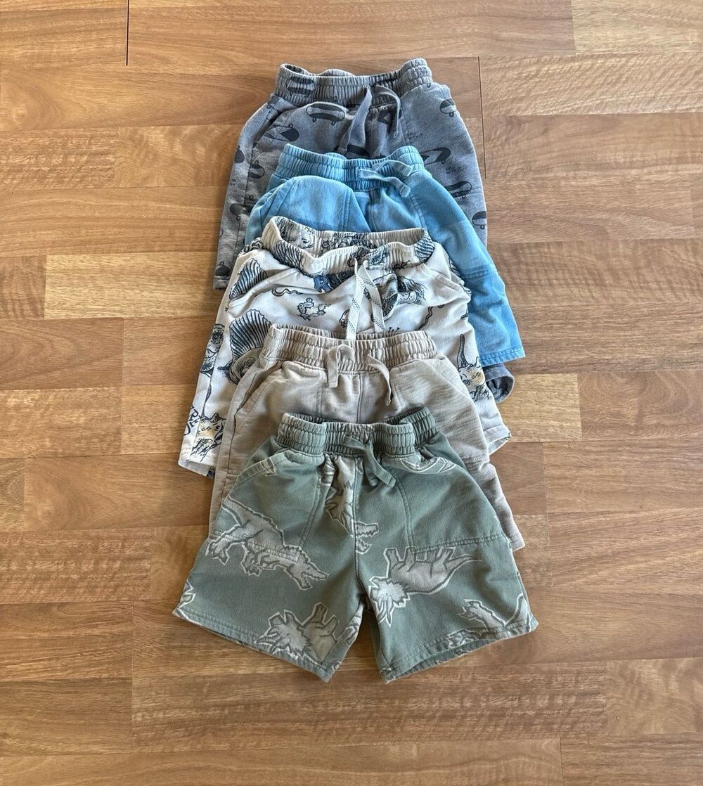 Lot of boys cotton sweat shorts with graphics, Dino, Skateboard, Checkered